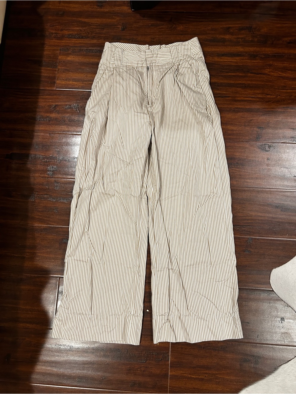 Free People Cream and Brown Pinstripe Wide-Leg Chinos